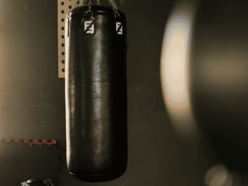 Boxset für Anfänger Test: Die 11 besten (Bestenliste)
