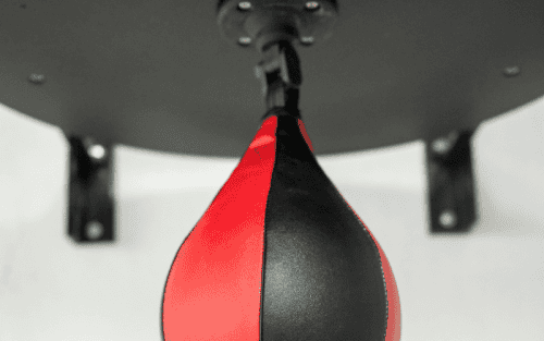 Boxbirne Test: Die 5 besten (Bestenliste)