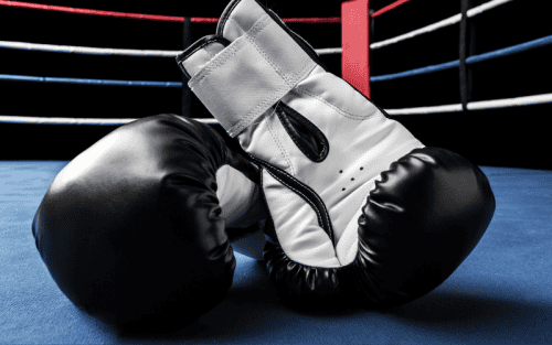 Boxhandschuhe Premium Test: Die 5 besten (Bestenliste)